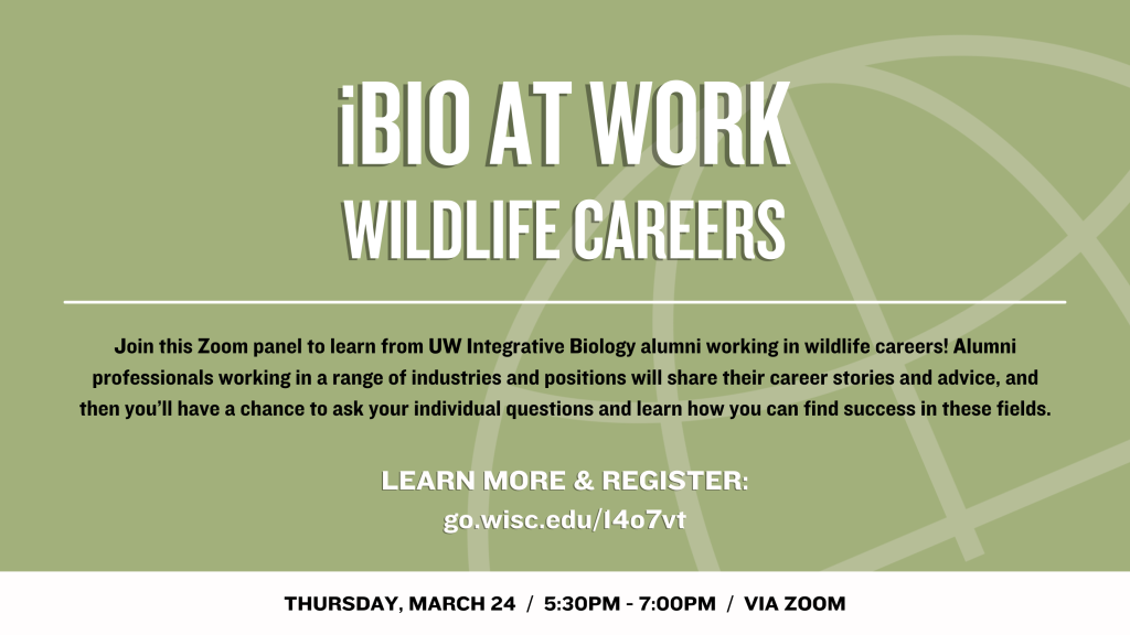 iBio at Work: Wildlife Careers