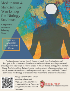 Meditation and Mindfulness Workshop
