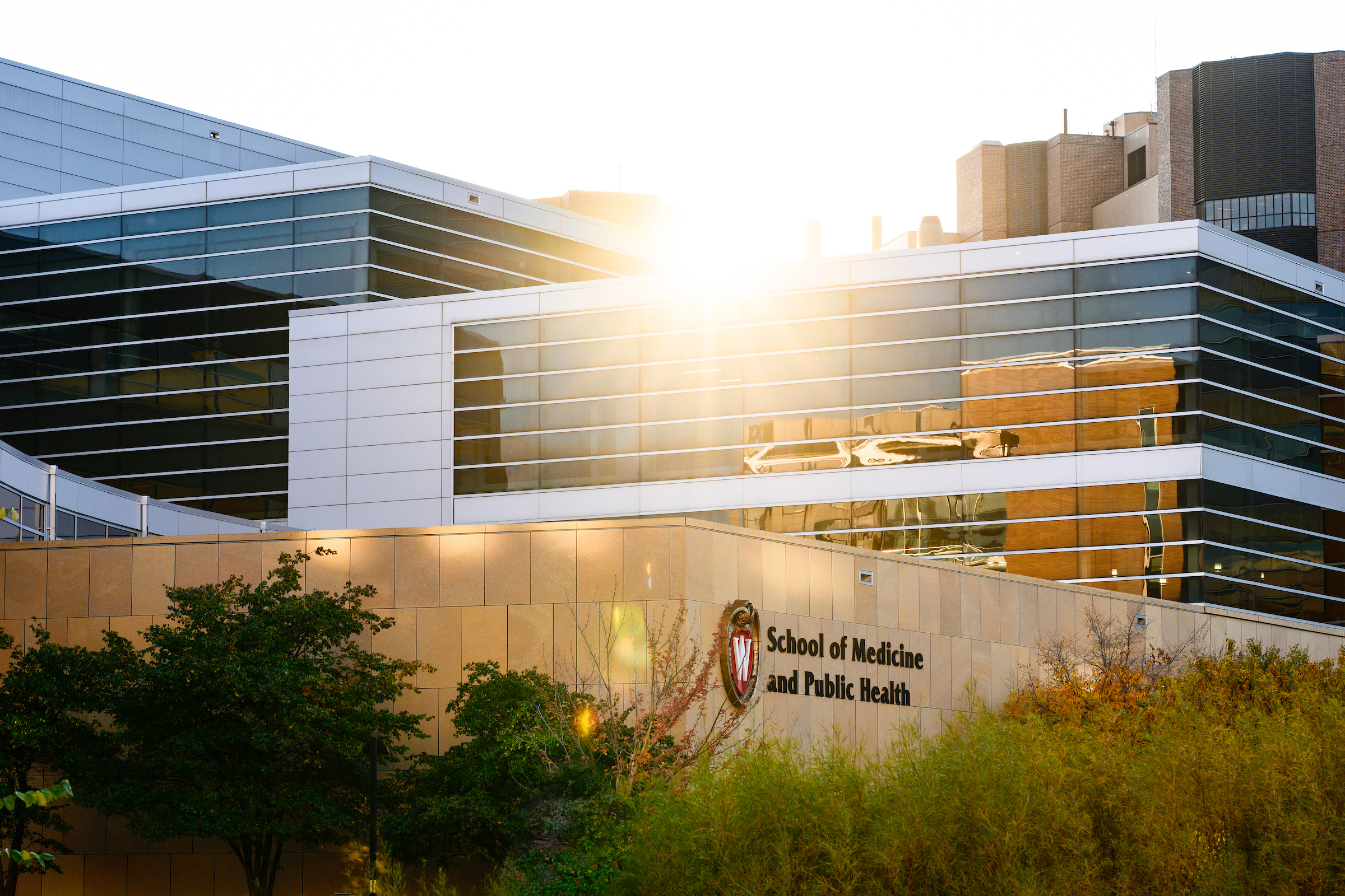 The sun flares above the Health Sciences Learning Center (HSLC), home to the School of Medicine and Public Health, on an autumn day at the University of Wisconsin–Madison on Oct. 29, 2025. (Photo by Taylor Wolfram / UW–Madison)