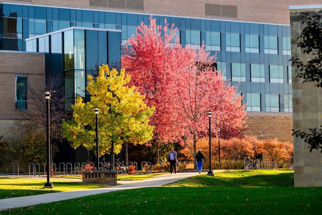 Pedestrians pass fall foliage on a sidewalk near Signe Skott Cooper Hall on an autumn day at the University of Wisconsin–Madison on Oct. 29, 2025. (Photo by Taylor Wolfram / UW–Madison)